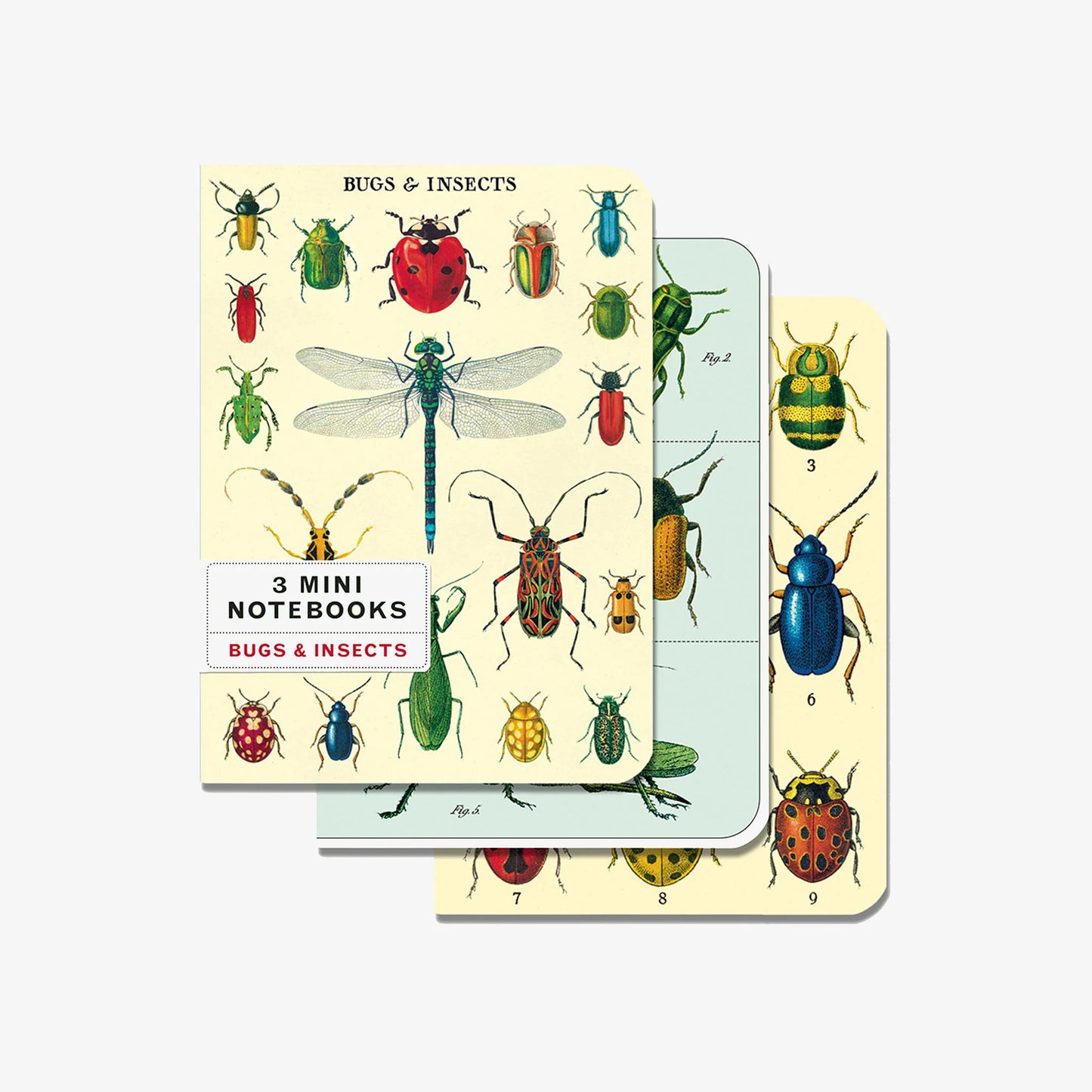 Bugs & Insects Set of 3 Mini Notebooks