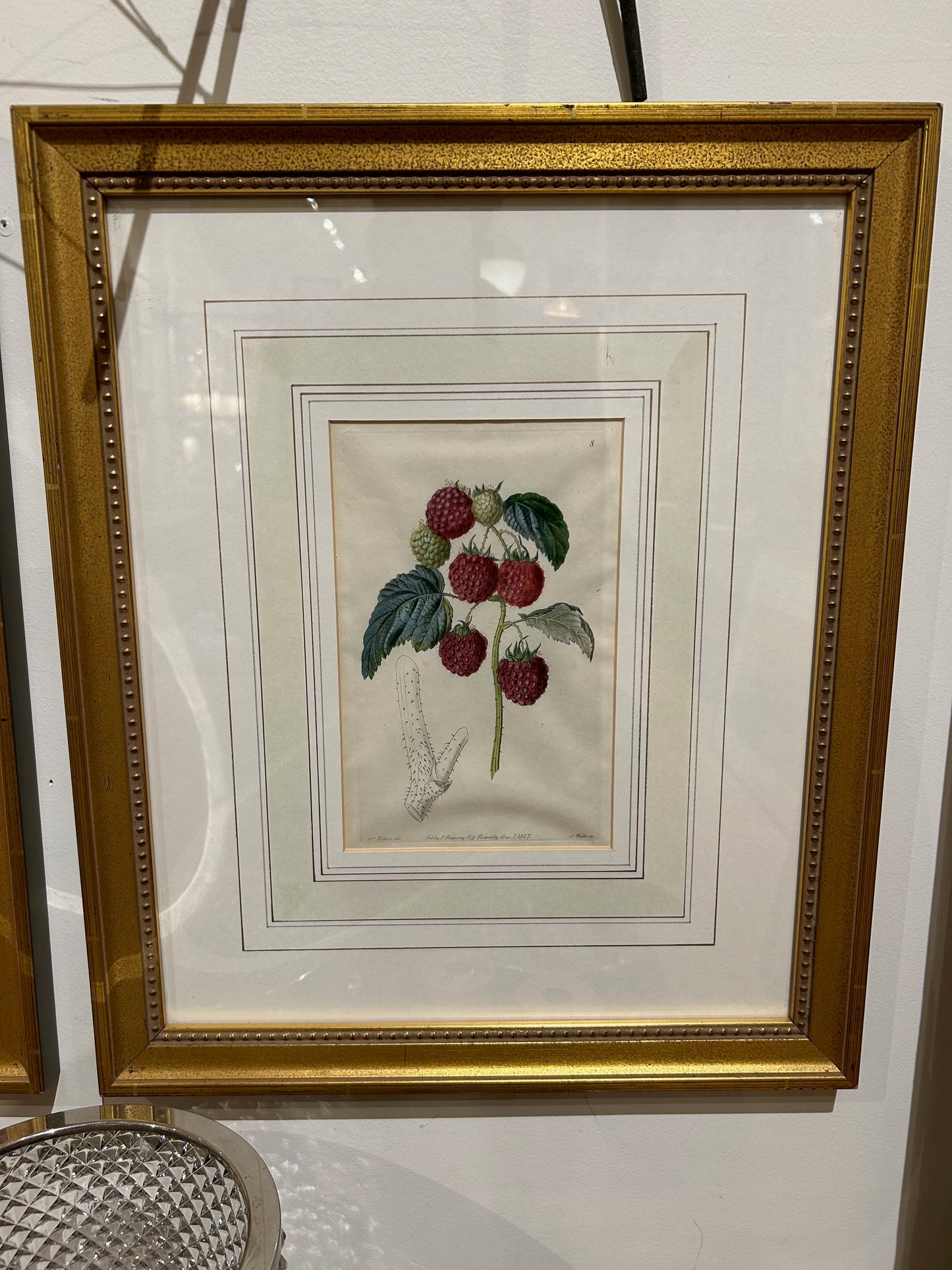 Antique Fubby Ridgway Study Book Plate