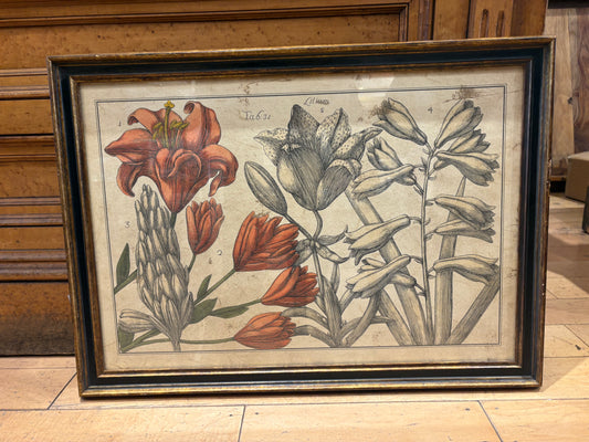 Embellished Arena Botanical Print