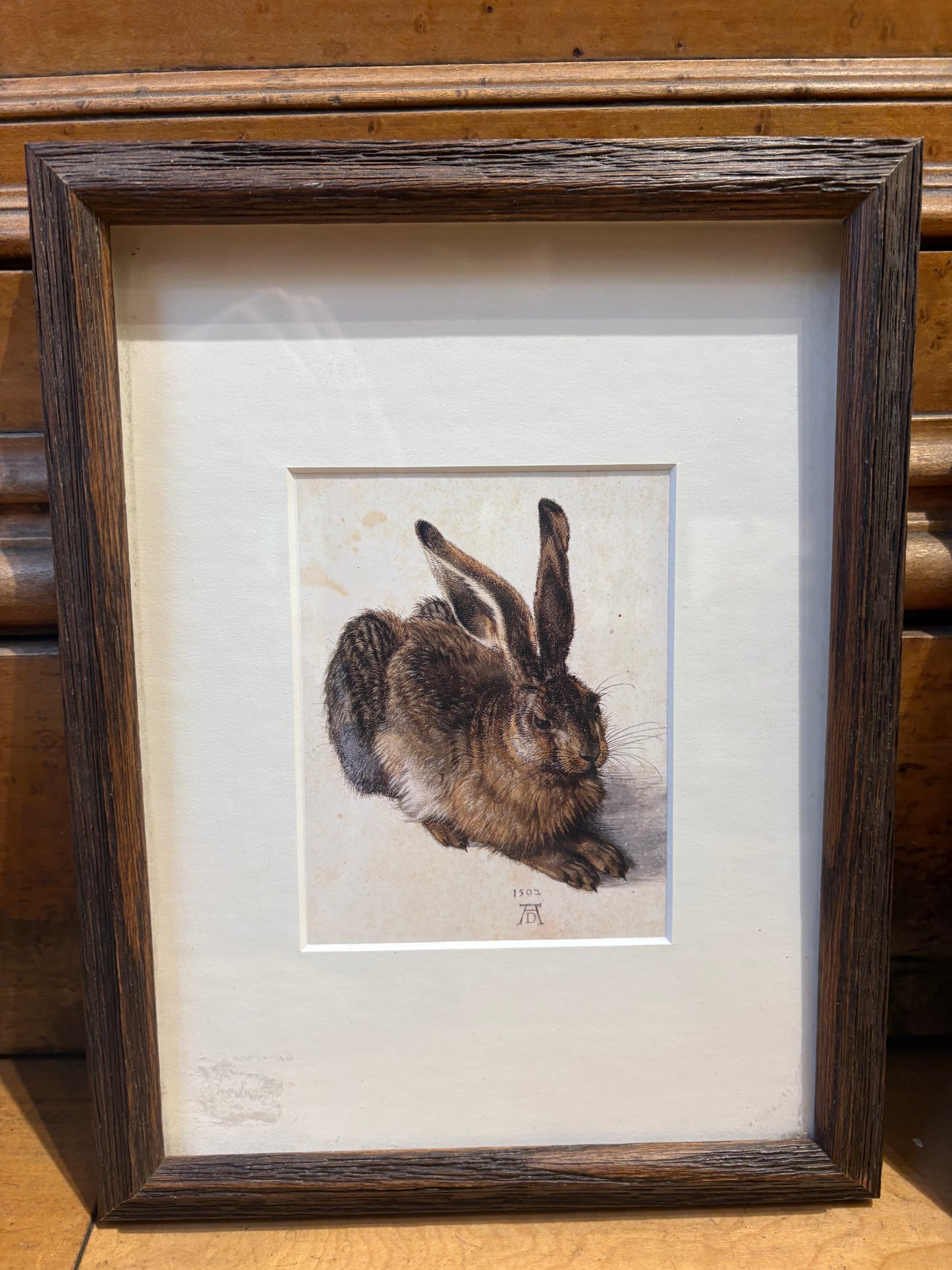 Print of Albrecht Durer's 1502 "Young Hare" Watercolor