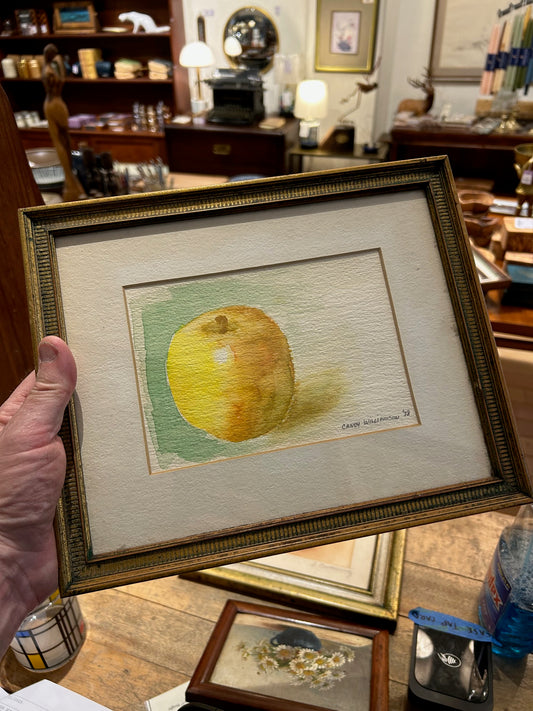 '78 Vintage Apple Still Art by C. Williamson
