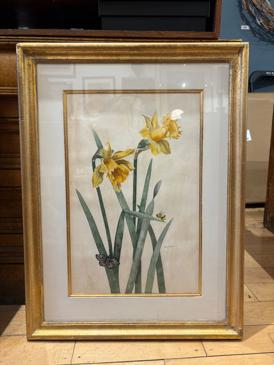 Signed Ruth Forbes Daffodil Watercolor