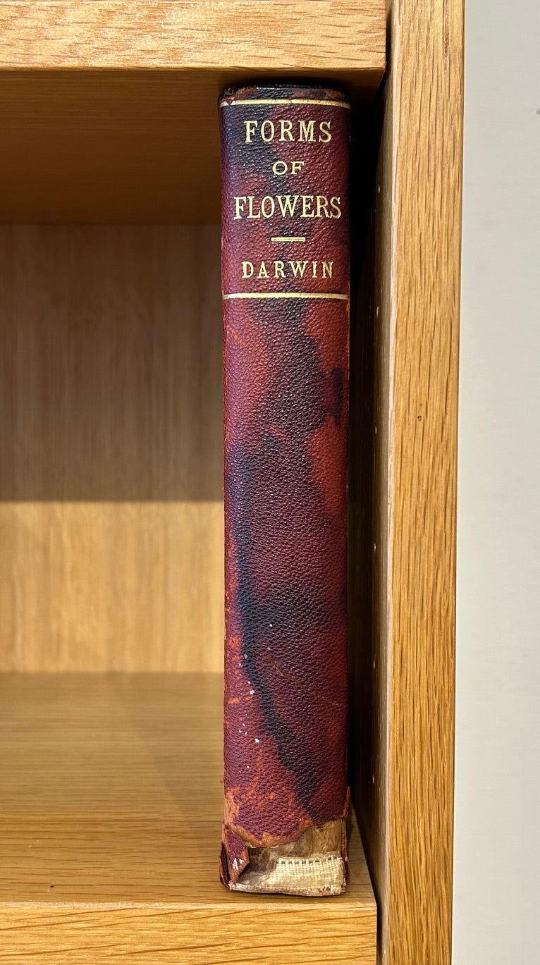Set of 4 Darwin Books 1896
