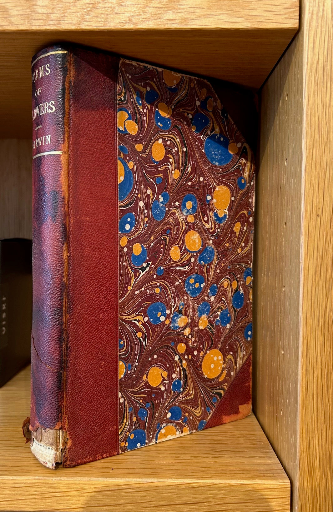 Set of 4 Darwin Books 1896