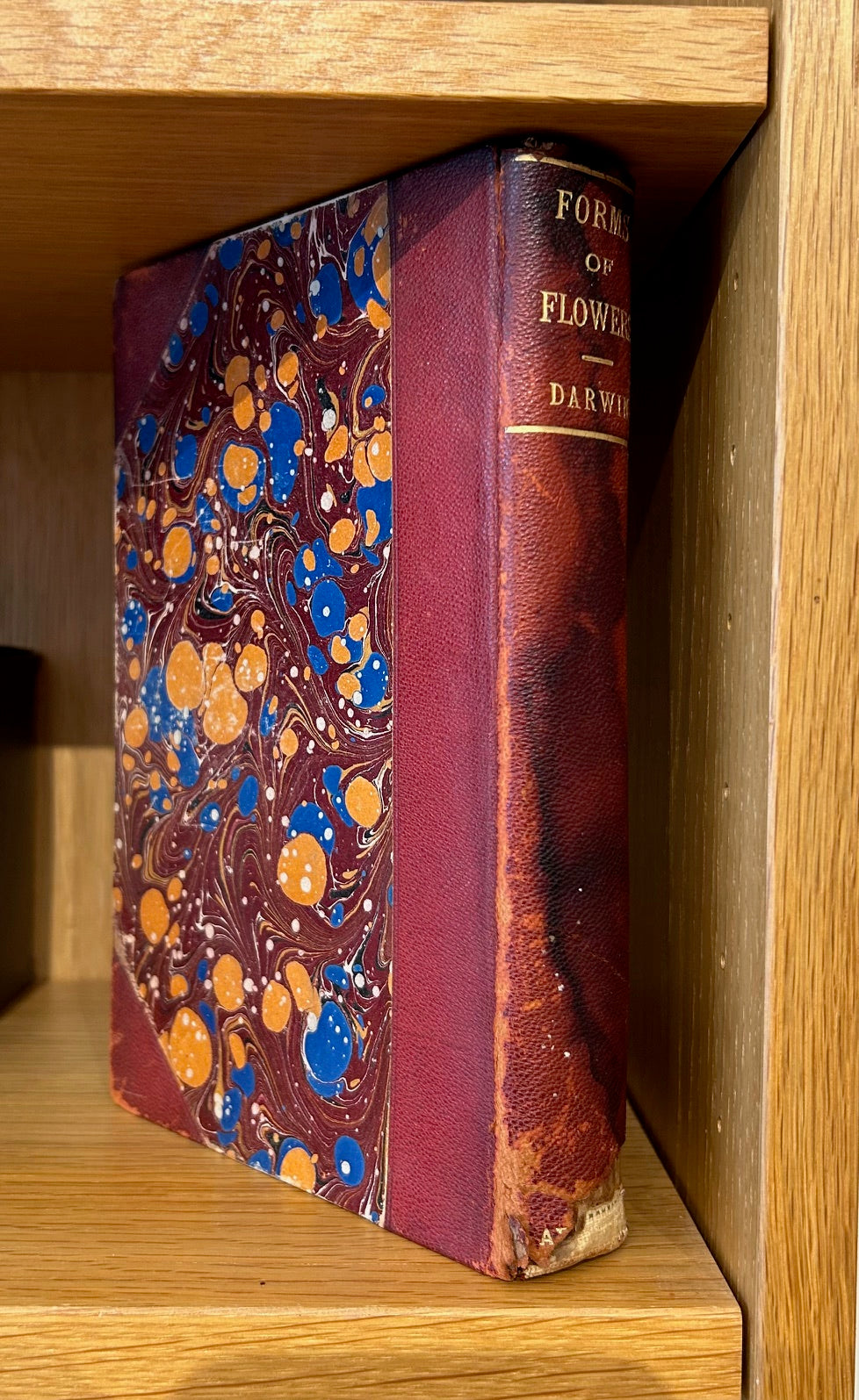 Set of 4 Darwin Books 1896