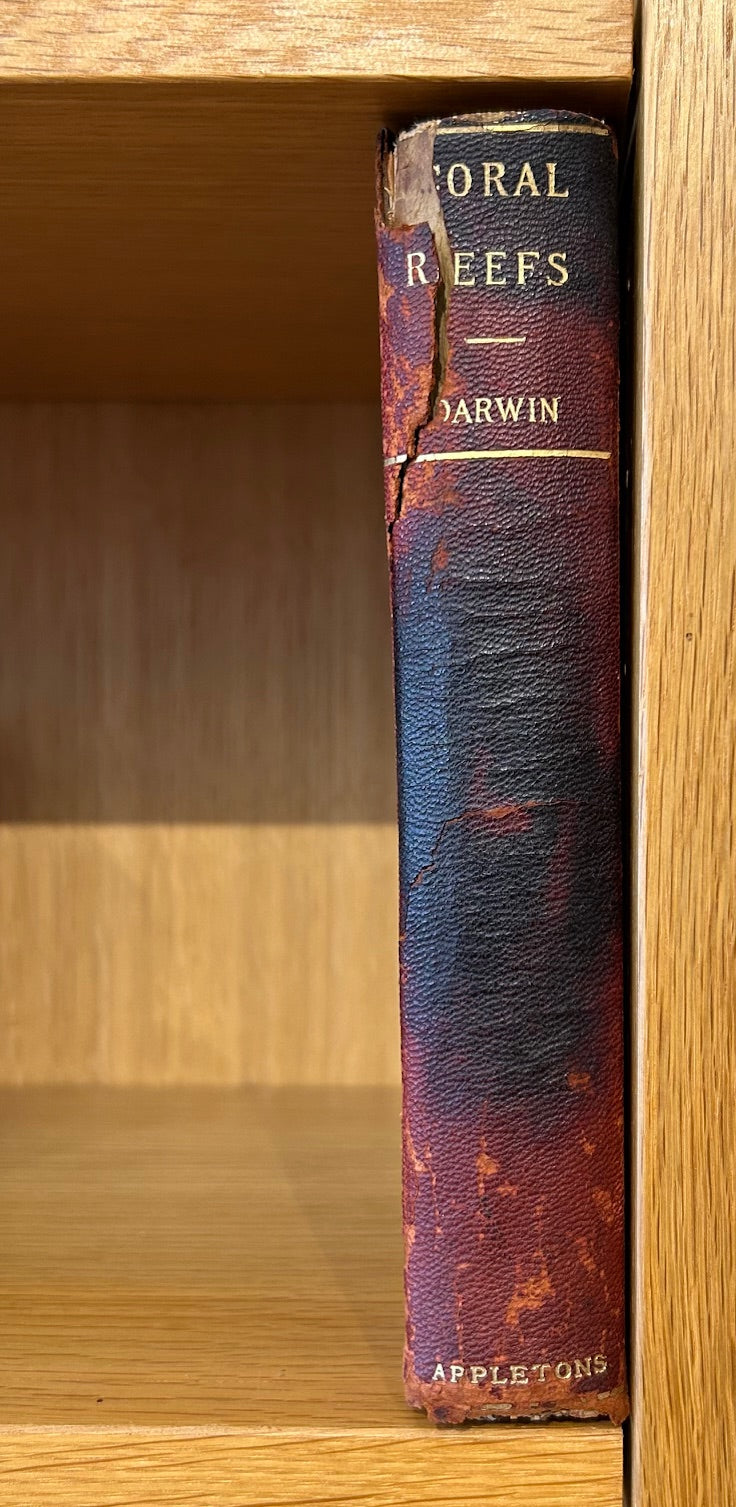 Set of 4 Darwin Books 1896