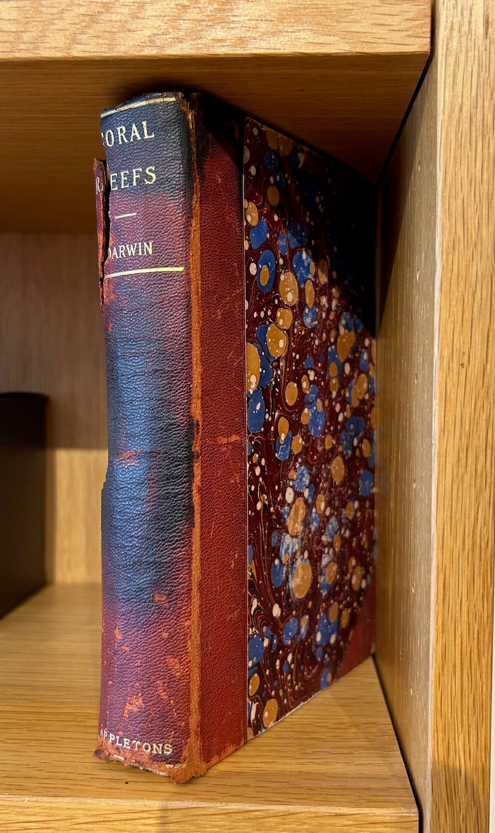 Set of 4 Darwin Books 1896