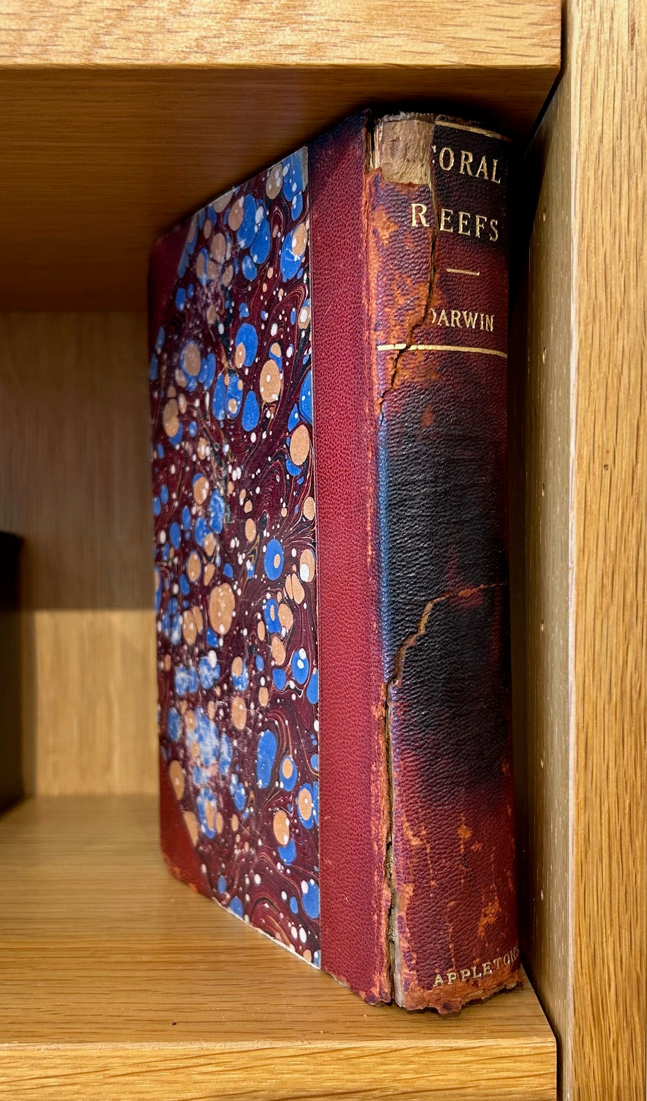 Set of 4 Darwin Books 1896