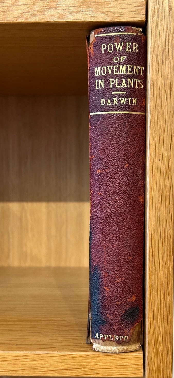 Set of 4 Darwin Books 1896