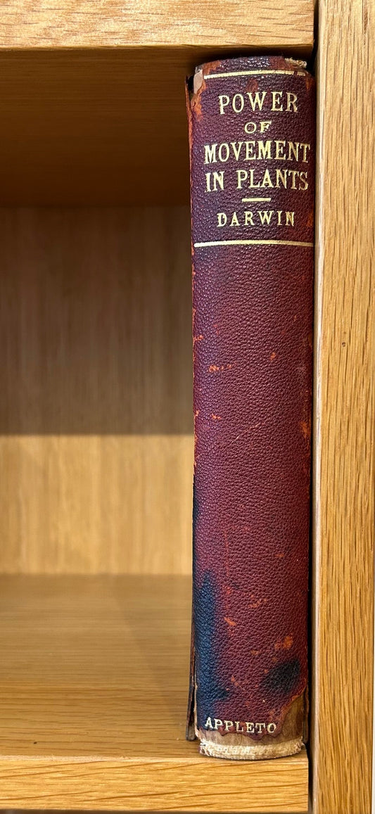 Set of 4 Darwin Books 1896