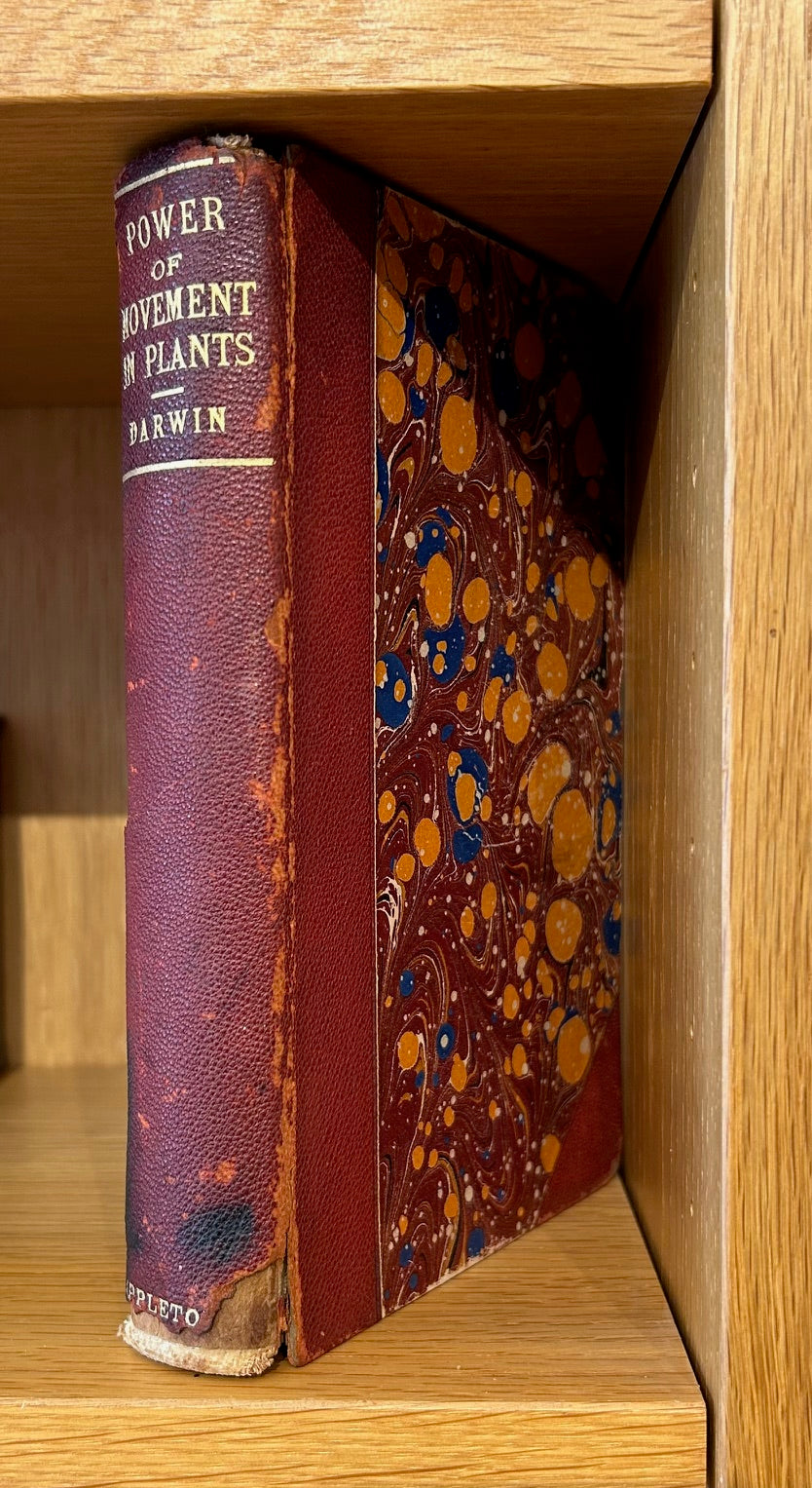 Set of 4 Darwin Books 1896