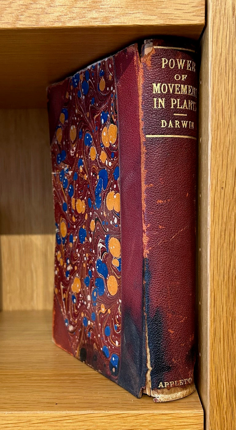 Set of 4 Darwin Books 1896