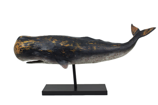Sperm Whale on Stand