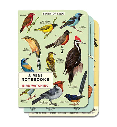 Birds Set of 3 Mini Notebooks