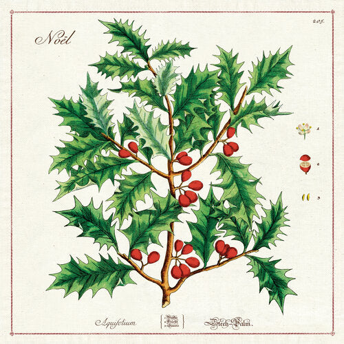 Holly Cloth Napkins - Set of 4
