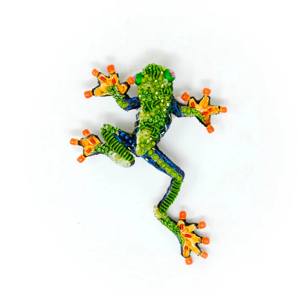 Red Eyed Tree Frog Brooch Pin