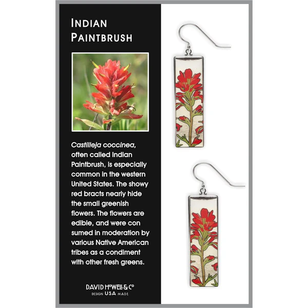 Indian Paintbrush Earrings