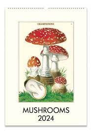 Mushrooms Wall Calendar