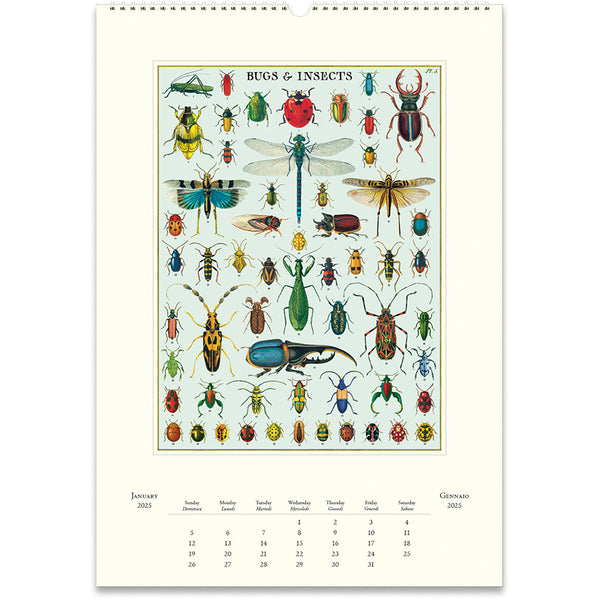 Bugs & Insects 2025 Wall Calendar