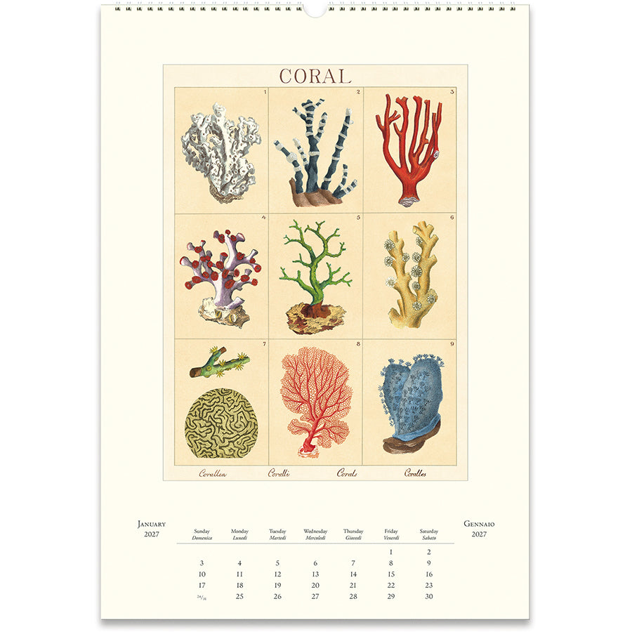 Sea Life 2027 Wall Calendar