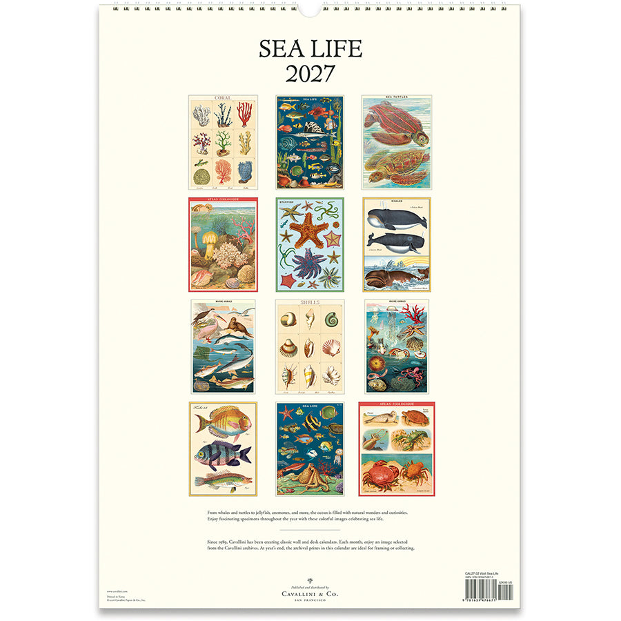 Sea Life 2027 Wall Calendar