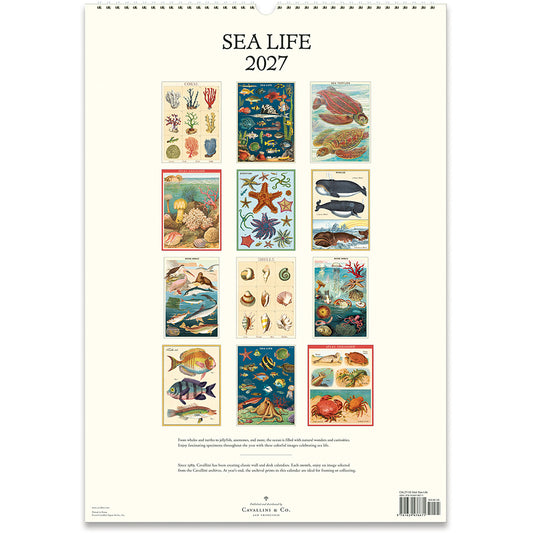 Sea Life 2027 Wall Calendar