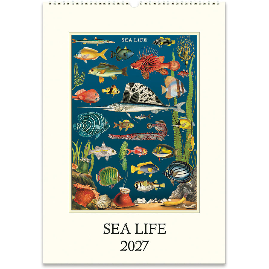 Sea Life 2027 Wall Calendar