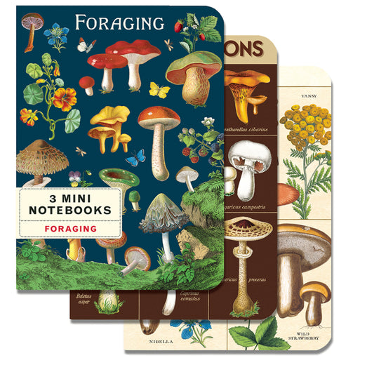 Foraging Set of 3 Mini Notebooks