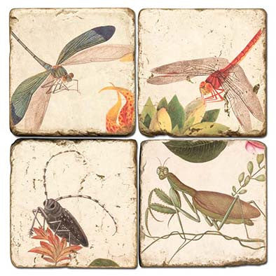 DS Bugs Set of 4 Marble Coasters