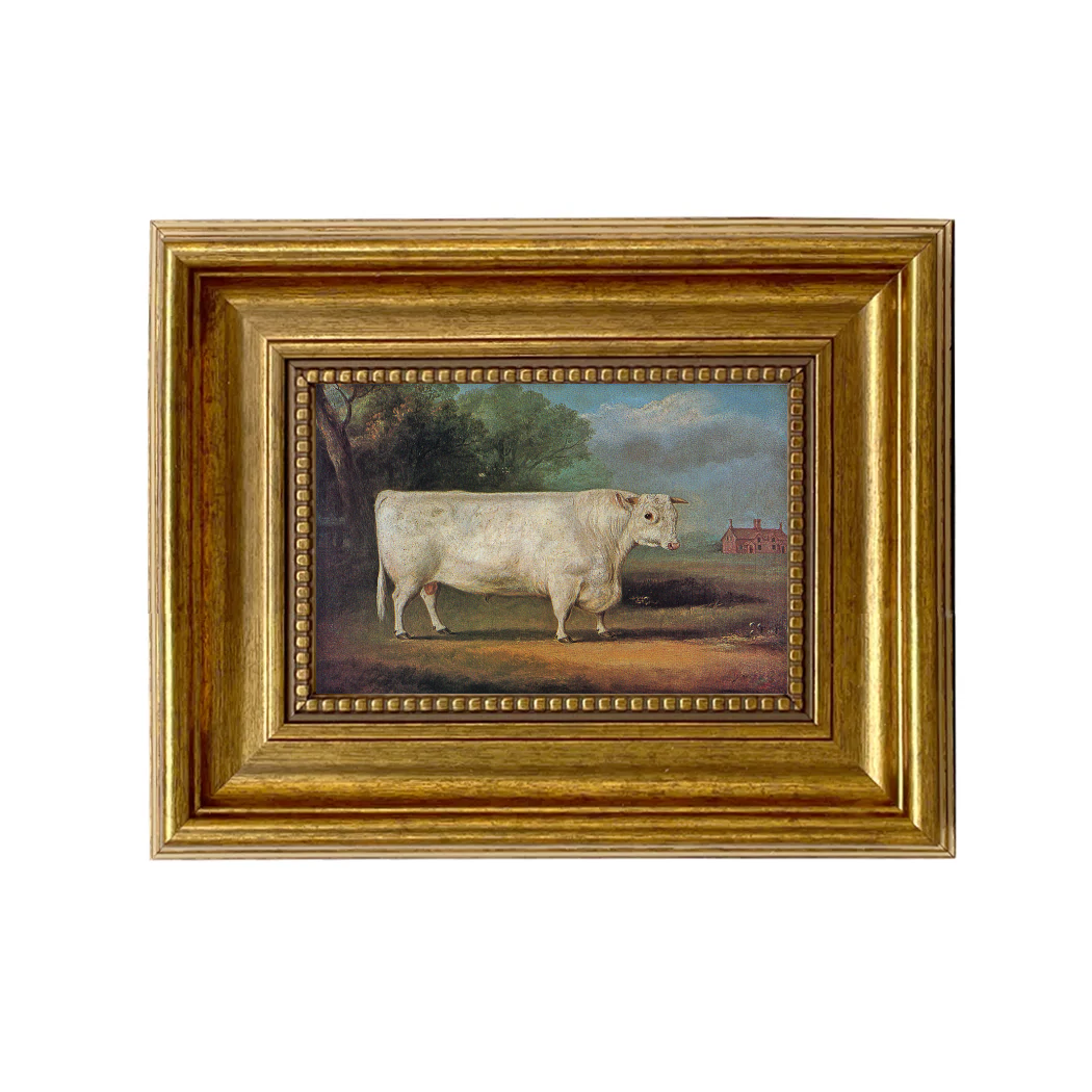 The Prize Bull