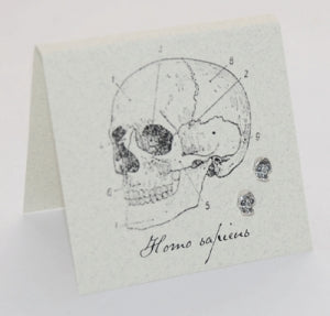 Skull Silver Stud Earrings