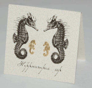 Seahorse Gold Stud Earrings