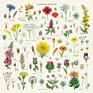 Wildflower Cloth Napkins - Set of 4