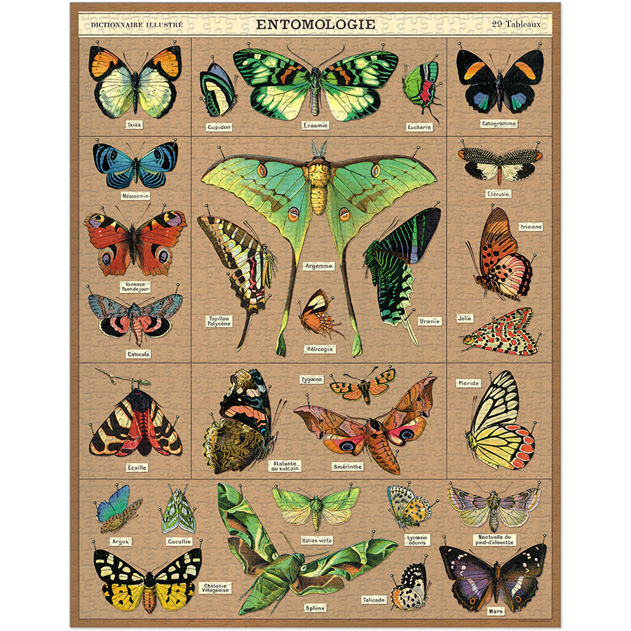 Entomology Puzzle