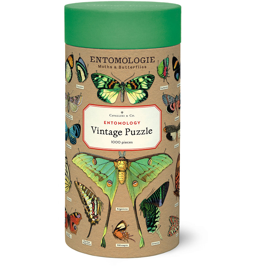 Entomology Puzzle