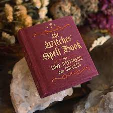 The Witches' Spellbook