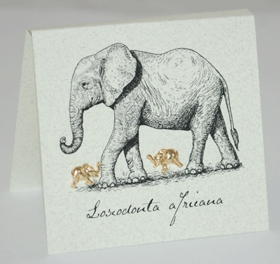 Elephant Gold Stud Earrings