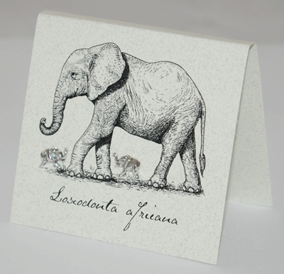 Elephant Silver Stud Earrings
