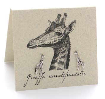 Giraffe Silver Stud Earrings
